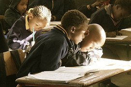 boy studying in the class